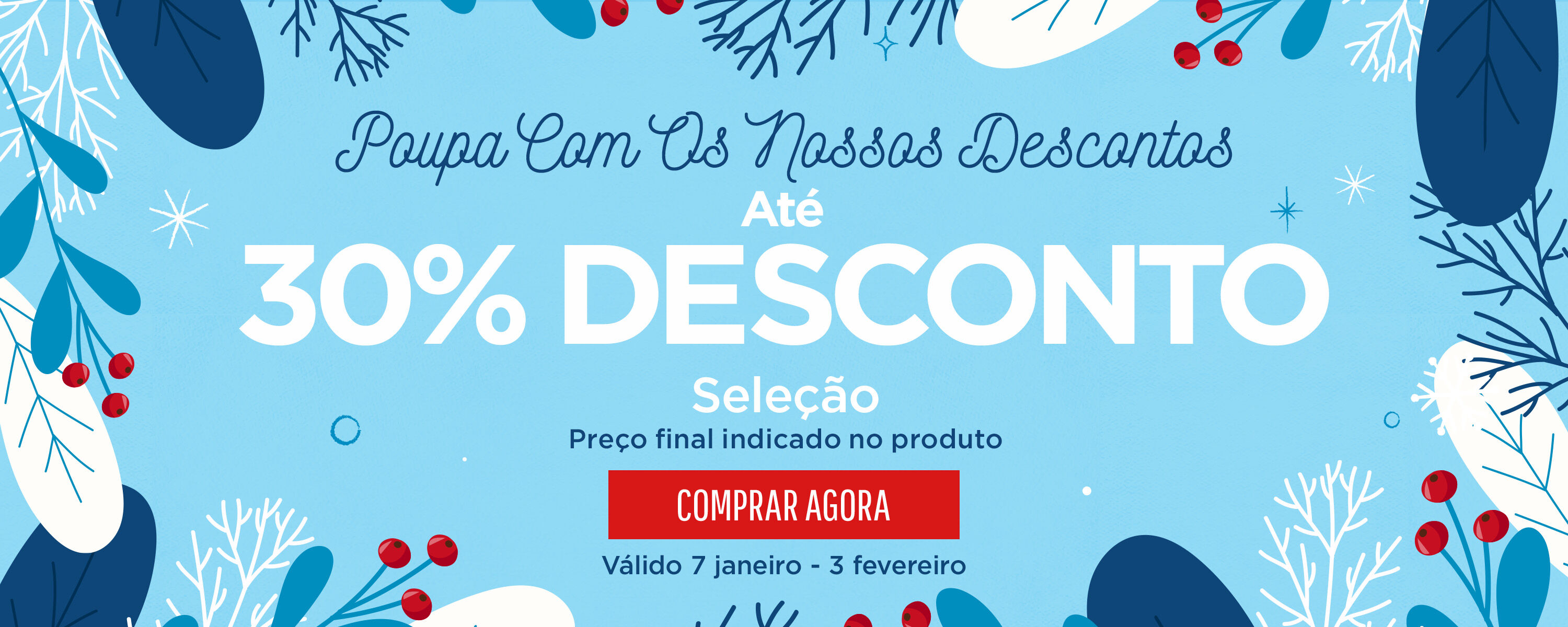 Winter Sale Hero Banner South